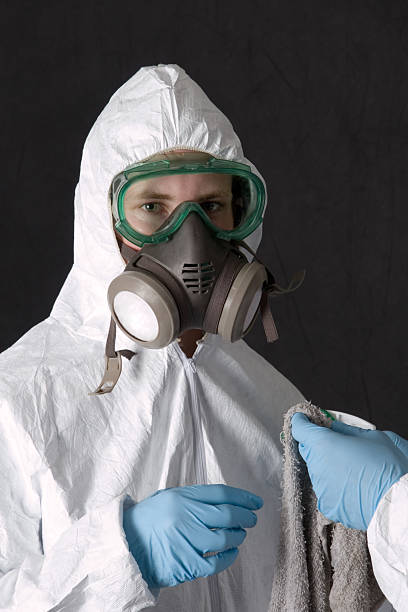 Professional Mold Inspection, Removal & Remediation in Brighton, AL